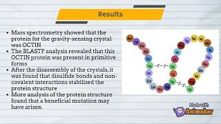 BIO 282 Lab Presentation