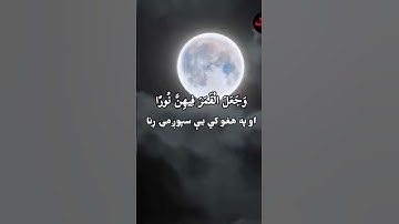 قرآن کریم پښتو ترجمه سورة نوح آیات 13-30Quran with Pashto Translation