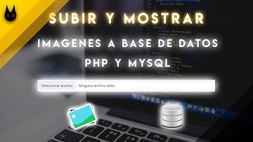 Guardar Imágenes En Base De Datos y Mostrarlas Con PHP y MySQL (¡Rutas!)