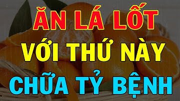 Cảnh báo: Người Đến Tuổi 50 CỨ ĂN LÁ LỐT nấu cùng THỨ NÀY chữa cả tỷ bệnh THẦN DƯỢC 100 triệu đồng