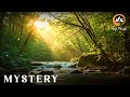 Music Therapy I Relaxing Music for Deep Sleep &amp; Stress Relief | Peaceful Sounds for Positivity