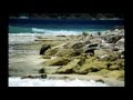 BVI 0001 Wmv BVI 0001 Wmv
