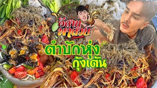 อีสานพาสวบ ตำบักหุ่งกุ้งเต้น 