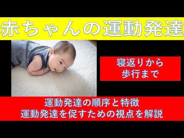乳幼児期の視覚運動発達 写真でみる乳児の運動発達: 生後10日から12カ月まで | Lois Bly
