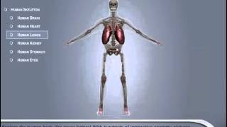 ONEUSSolutions MobilaAPP 3D Medical Interactive Simulation