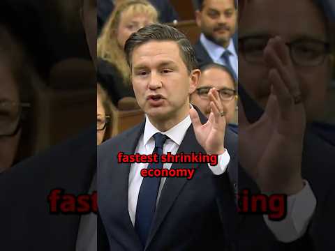             8 2025