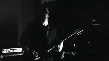 Parsnip Fields Teaser