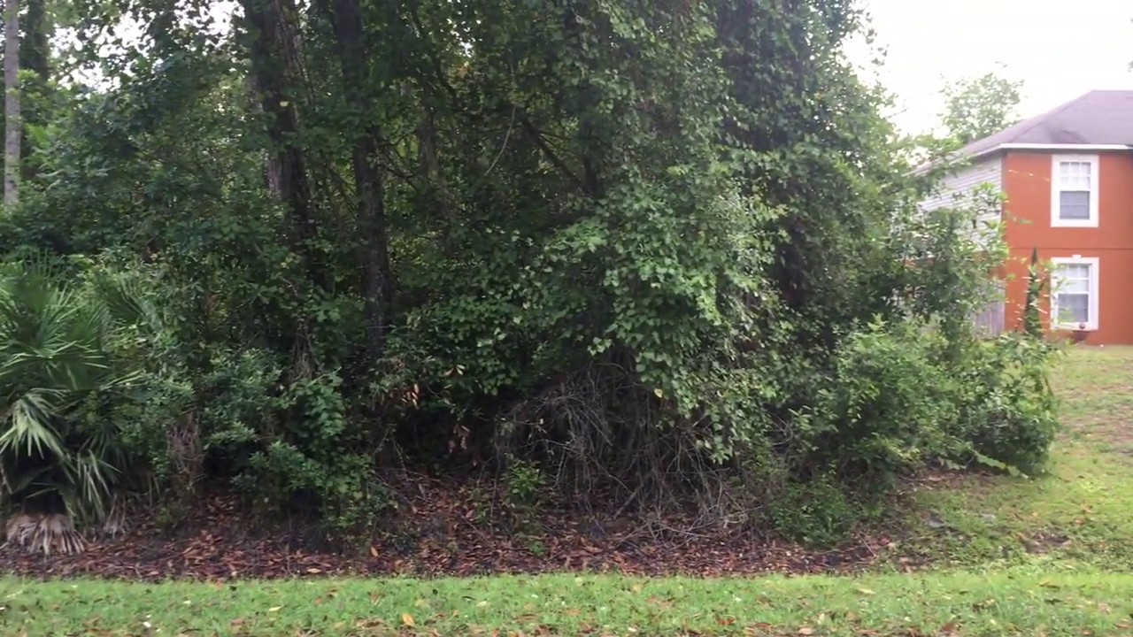 Land for sale near Orlando YouTube