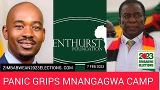 PANIC grips Mnangagwa camp after Brenthusrst survey shows Chamisa winning