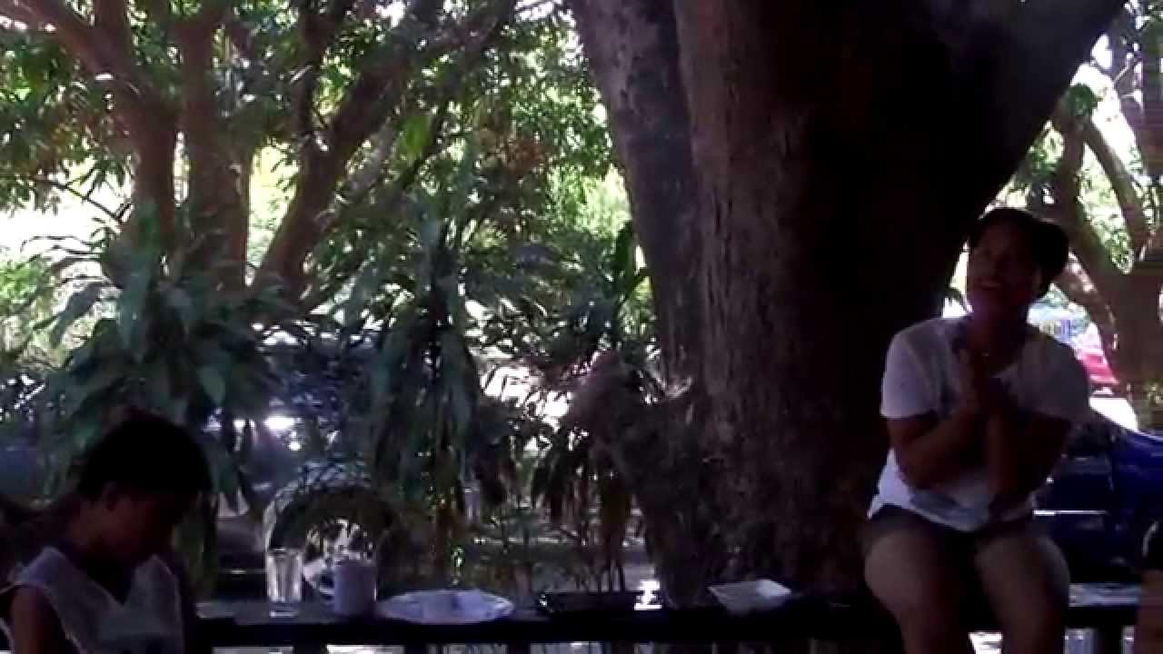 SAM 3305 - YouTube