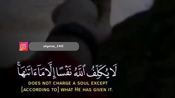 رعد محمد الكردي سورة الطلاق تلاوة هادئة ورائعة