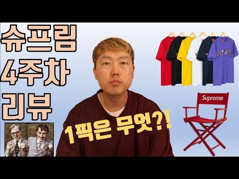 자수 퀄 실화?! 슈프림 19ss 4주차 리뷰 City arc tee