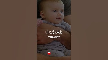 (*والسمآء بنيناها بأييدٍ وإنا لموسعون*) -القارئ علاء المزجاجي