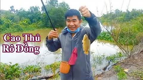Đi Câu Cá Rô Đồng ở Bình Phong Thạnh Cùng Cao Thủ Phước Hiệp Củ Chi : Giật Cá Sướng Tay