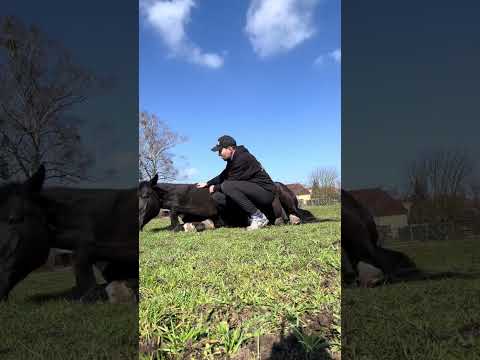 Endspurt Für aktuellere Updates bitte auf Insta vorbei schauen
