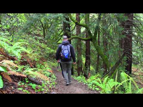Parque estatal de Big Sur, California: Sendero Mill Creek