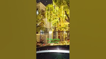 Trang trí quấn cây led đúc F5