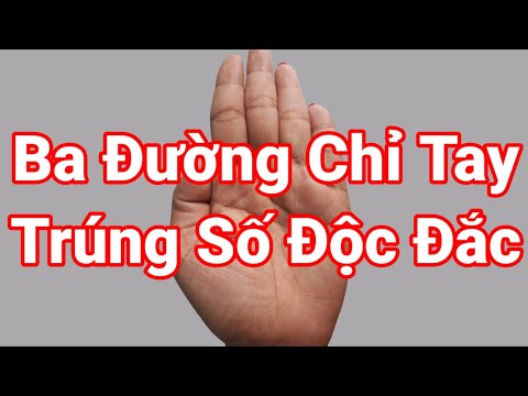 Video Ba Đường Chỉ Tay Trúng Số, Có Lộc Bất Ngờ, Do Thiên... - youtube