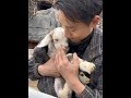 Ah, this little baby is so cute! #RuralLife #Lamb #ShepherdPrince