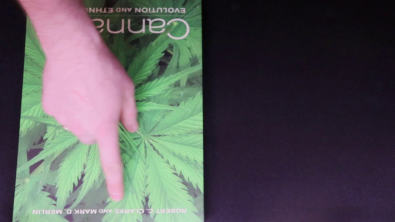 [0.0] Cannabis: Evolution and Ethnobotany (Clarke, Merlin) - Reading & Commentary