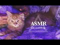 Arabic asmr  cat cuddling  