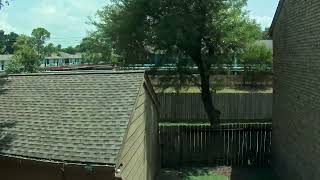 Backyard Timelapse 20260629