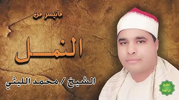 الشيخ محمد الليثي ماتيسر من سورة النمل