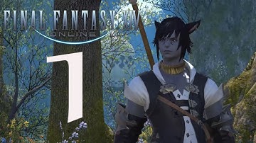 Final Fantasy XIV: Online (Let