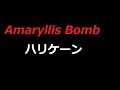 Amaryllis Bomb ハリケーン