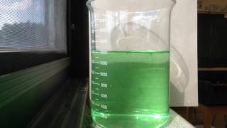 Food colouring diffusion time lapse