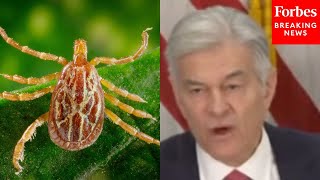 Dr. Oz Demands That The U.S. Engage In 'Getting Serious About The Management' Of Lyme Disease