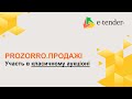 Участь в класичному аукціоні в Prozorro.Продажі