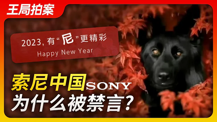 王局拍案｜索尼中國為什麼被禁言？ - 天天要聞