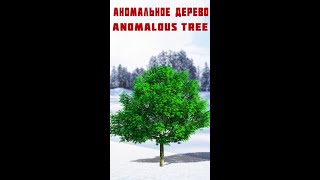 Аномалия. Зима, снег, зеленое дерево / Anomaly. Winter, snow, green tree #shorts