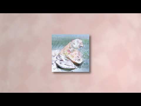 of Ambrosia