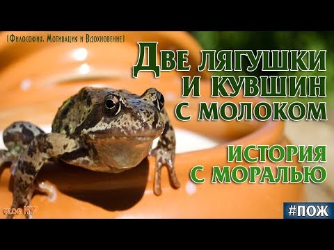 Две Лягушки и Горшок с Молоком. История притча с моралью
