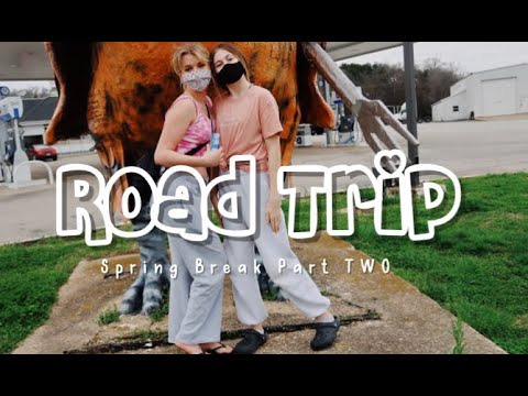 ROAD TRIP TO FLORIDA | spring break in florida part 2 | Ava Hill