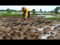 Amazing! A Lot Of Crabs Rising From The Water on land When Floods Catch by a Fisherman today