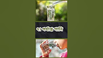 general knowledge || quiz | spinal cord part  163