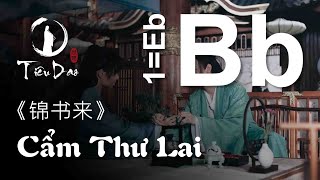 Cảm âm CẨM THƯ LAI • Tone Bb • Dizi Eb 《锦书来》 伴奏 Accompaniment • Tiêu Dao