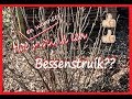 Hoe (en wanneer) snoei ik een bessenstruik?? (rode bes, witte bes, zwarte bes, blauwe bes, enz.