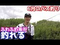 6月のバス釣りはふわふわさせてると釣れる。