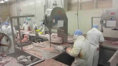 AKIYAMA - Máy cưa cá đông lạnh model 600S