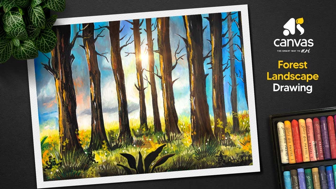 Oil pastel forest scenery drawing / How to draw easy forest landscape ...