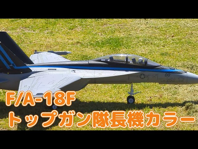 航空機・ヘリコプター F/A-18B Hornet TOP GUN DRAGON F/A-18B Hornet 