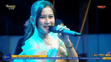 PRIA IDAMAN || LOVA PRIMADONA || OM ADELLA