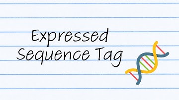 Expressed Sequence Tags | Sci Bagels Edu-Vid