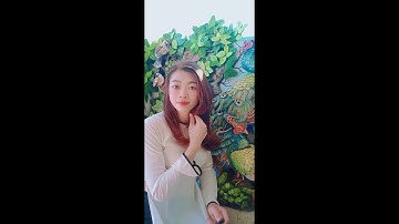 Đắp tranh chim công | peacock panting art