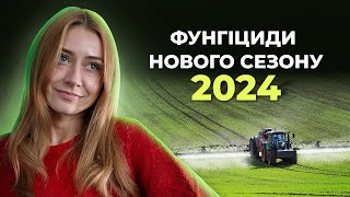 :  ò     2024 ֲ? #