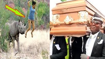Best Funny Coffin Dance Meme Compilation Ft Unexpected Animals Attack Ep-3